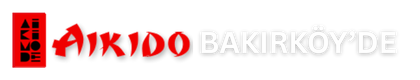 Aikido Bahçelievler'de | Aikido Kursları | Aikido Kursu | Çocuklar için Aikido – Aikimode Aiki Akademi